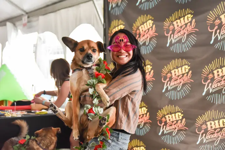 A dog with a flower collar by the Wonderful sign.